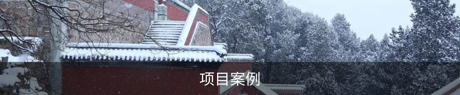 项目案例